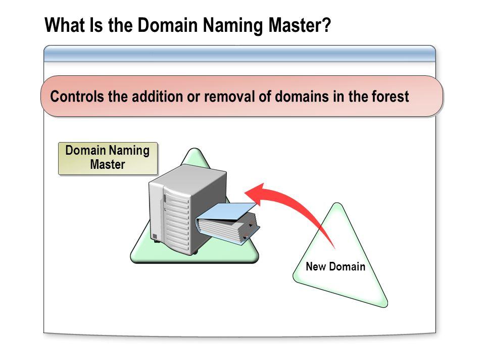 Domain Naming Master in active directory